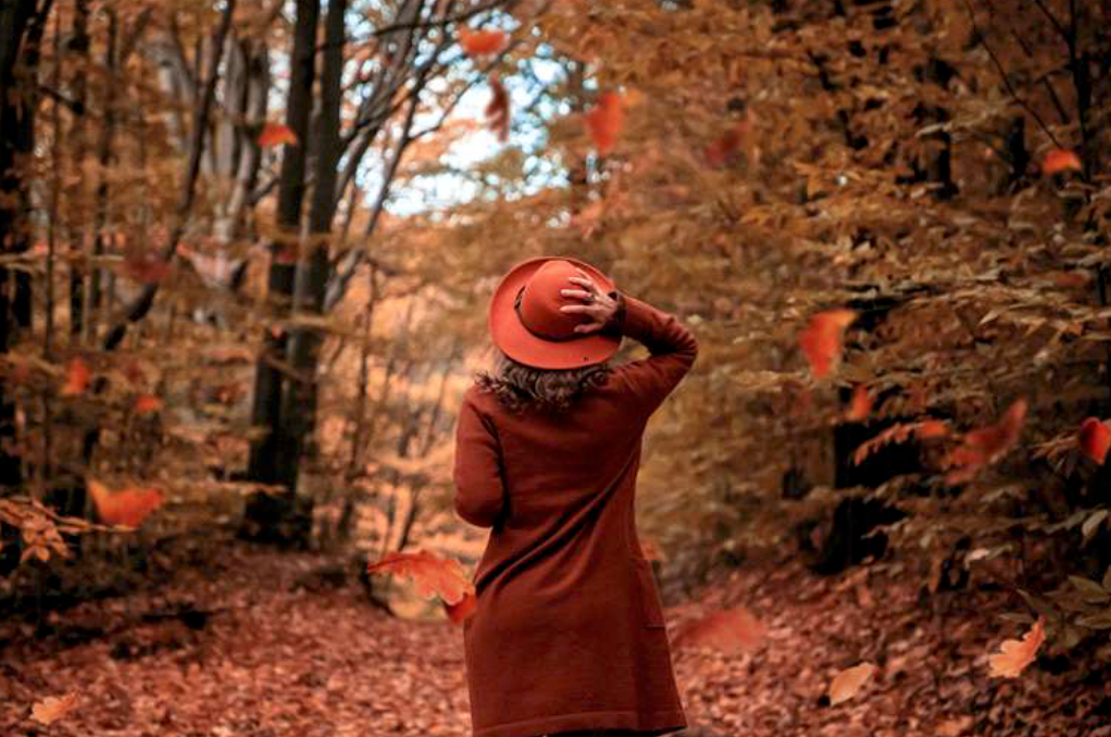 Caída Capilar en Otoño: Cómo Prevenirla y Mejorar la Salud del Cabello con Gaia Hair Experience