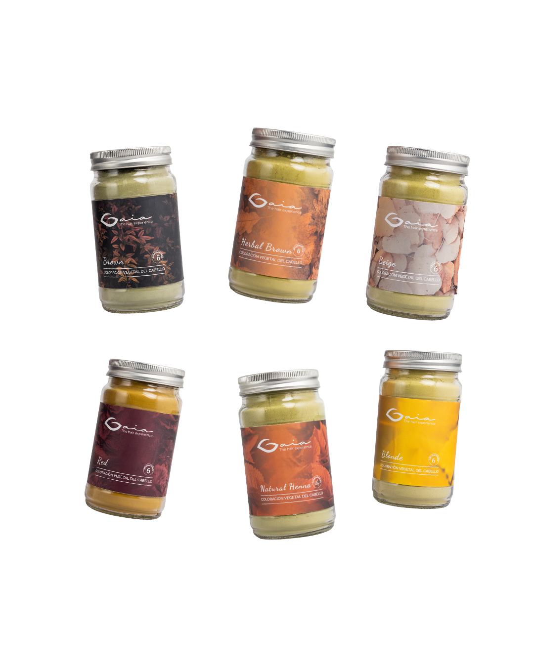 Kit 6 colores